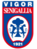 Vigor塞尼加利亚U19logo