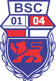 邦纳U19logo