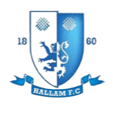 哈勒姆logo