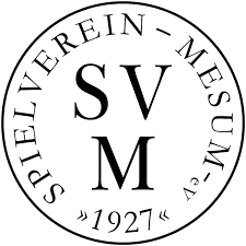 SV梅苏姆logo