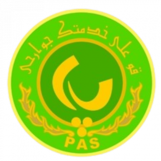 帕斯logo