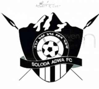 阿瓦索达logo