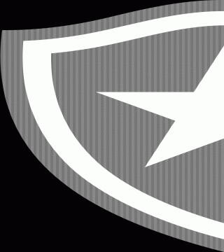 博塔福戈女子U20logo