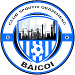 CSO伯伊科logo
