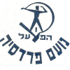 夏普尔帕德斯U19logo