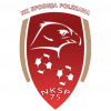 波尔斯卡瓦logo