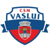 CSSM瓦斯卢伊logo