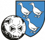 伊奇琛斯logo