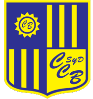 巴拉斯图尔后备队logo