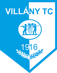 维兰尼logo