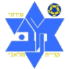 伊罗尼库西夫logo