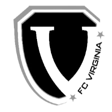维尔基尼亚logo