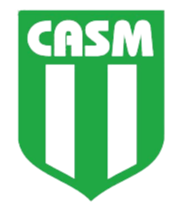 圣米格尔logo