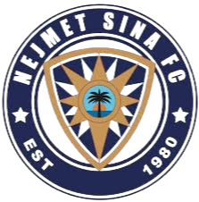 奈梅特西奈logo