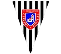 切尔韦尼logo