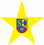 黄色恒星logo