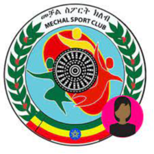 机械女足logo