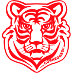 科雷格塞U19logo