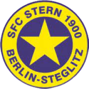 斯坦恩女足logo