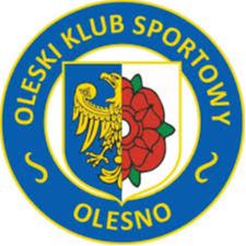 OKS奥利诺logo
