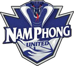 南丰联队logo