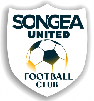 松盖亚联合logo