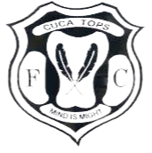 库卡托普斯logo