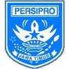 波斯1954logo
