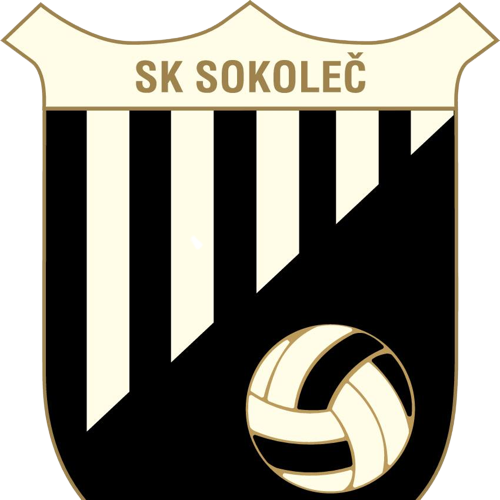SK索科莱logo