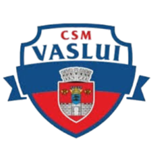 CSM华斯雷logo