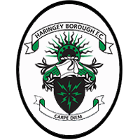 夏灵基市logo