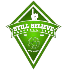 斯蒂贝尔logo