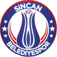辛坎logo