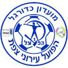 塞法德logo