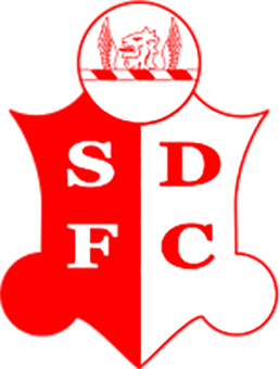多明戈U20logo