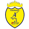 哈纳斯 31logo