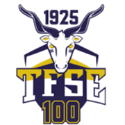 TFSE布达佩斯logo