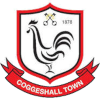 科格斯霍尔镇logo