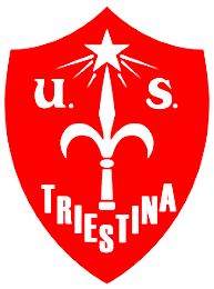 斯蒂纳U19logo