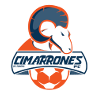 颂娜B队logo