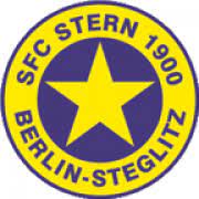 斯坦恩logo