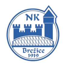NK布雷齐斯U19logo