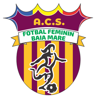 独立乡巴亚马雷女足logo