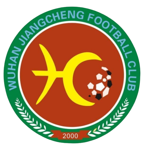 武汉江城(已退出)logo