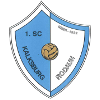 SC泰古路斯logo