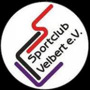 费尔伯特logo