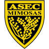 ASEC米莫萨女足logo