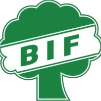 布罗德斯克女足logo