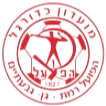 彼达迪华夏普纳汉史曼U19logo