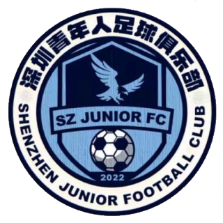 深圳青年人U15logo